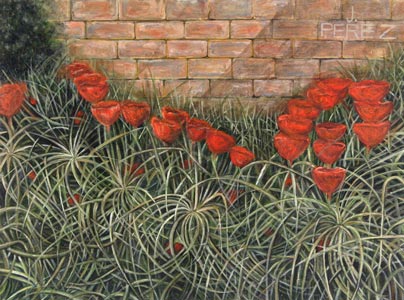 Flower Bed by Juan Perez
