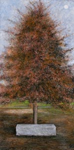 Sandstone Bench and Tree by Juan Perez
