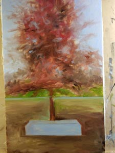 Sandstone Bench and Tree by Juan Perez